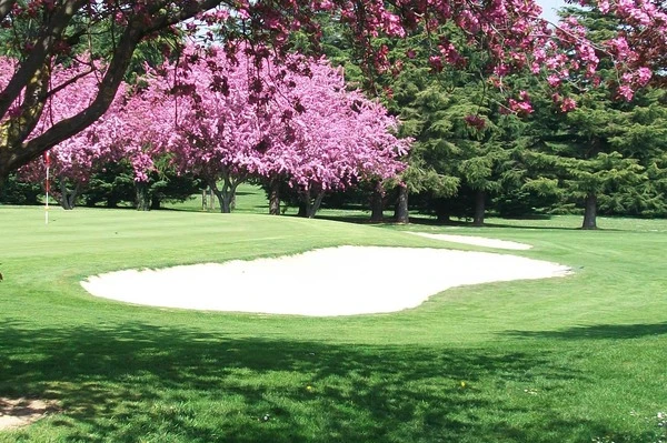 Golf de Lyon Verger